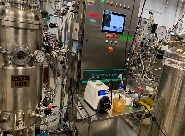 Công nghệ mới: Sản xuất axit succinic từ thực vật - Một bước tiến lớn trong công nghiệp hóa chất sinh học